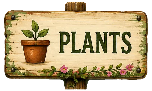 Plants - nursery plants, gardening guidance, seasonal growing tips, and the Plant Library.